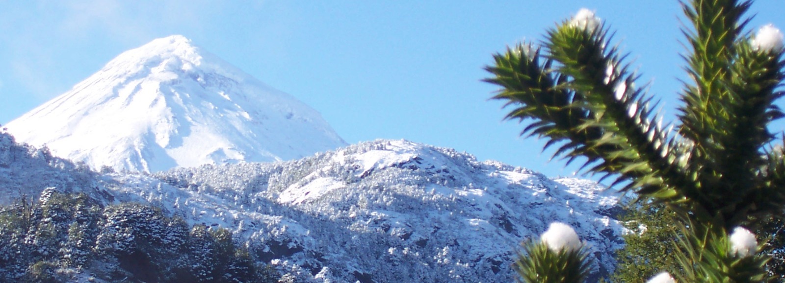 View towards Lanian Volcano on a field trip during a spanish course at Lingua Plus Spanish school